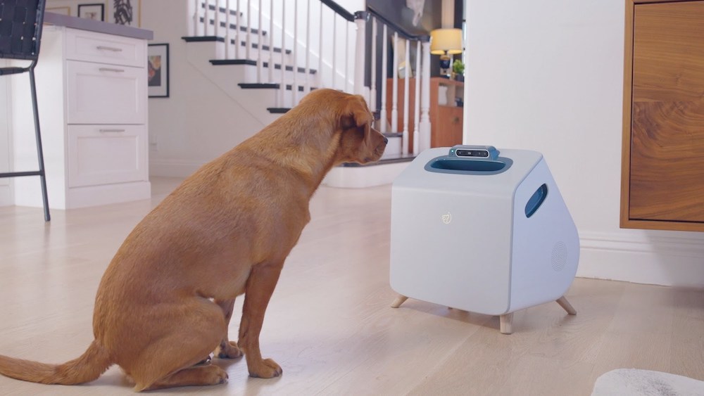Companion’s at-home training device uses a combination of computer vision and machine learning to detect and analyze dogs' movements and behaviors.  