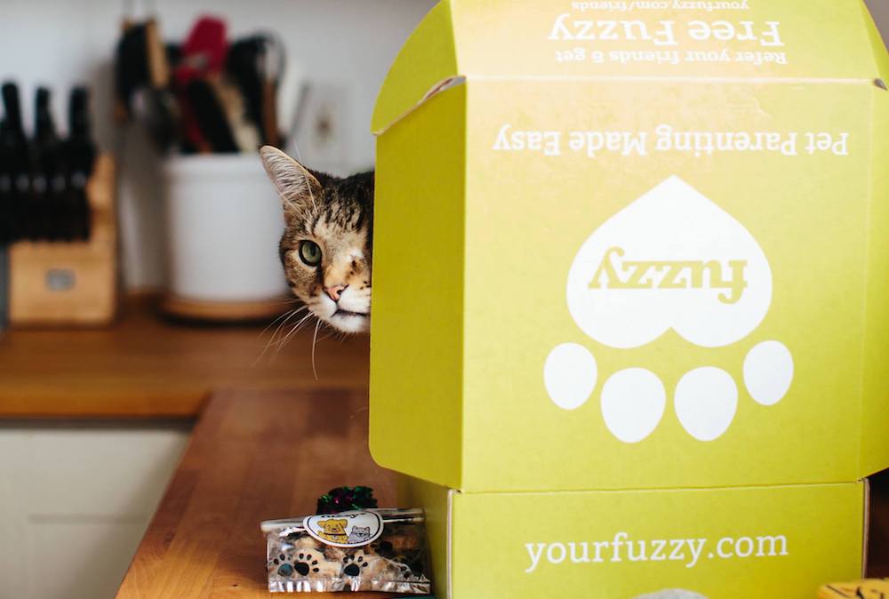 Fuzzy’s completely digital veterinary care platform provides pet owners with access to a wide range of essential services via its mobile app, from virtual consultations to behavioral training. 