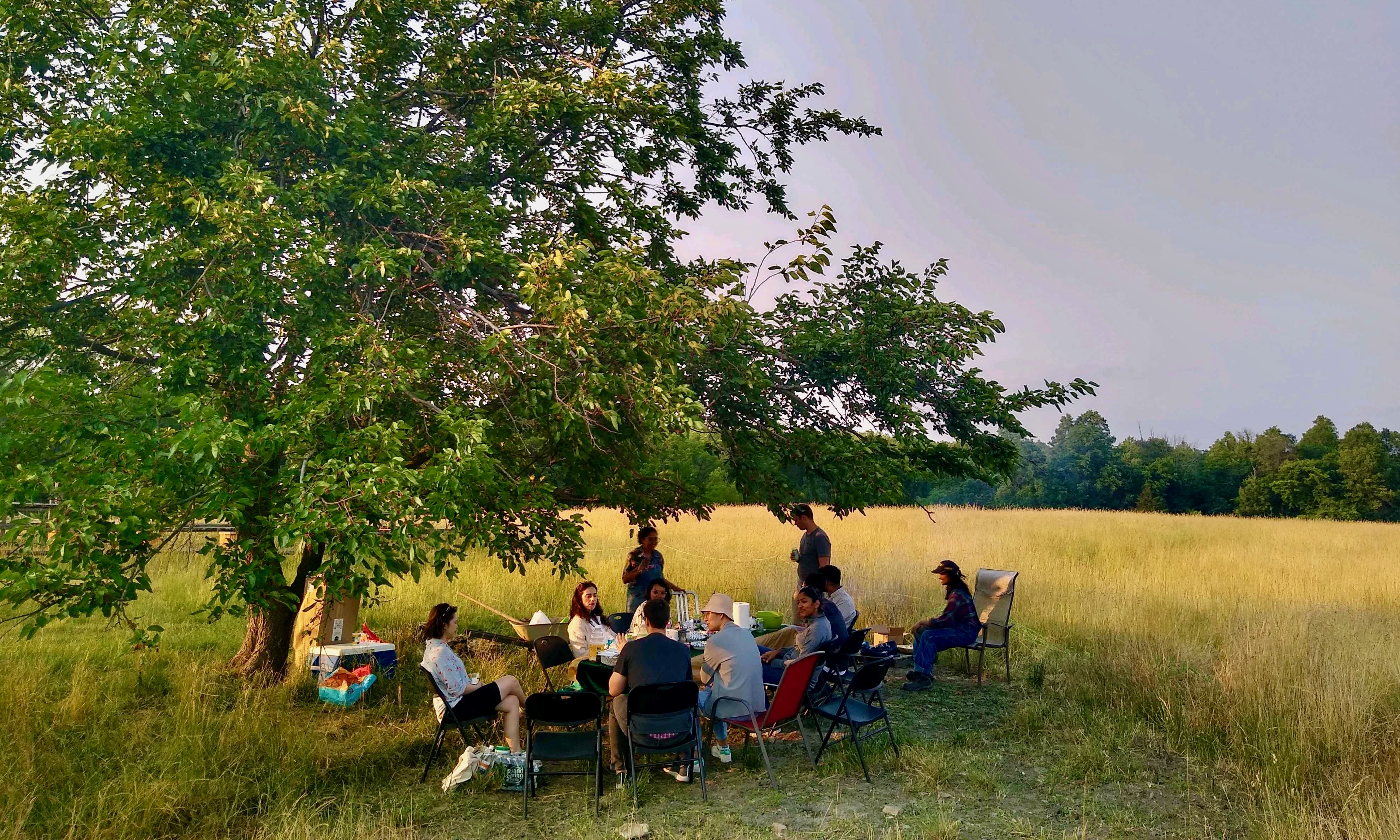 Aurora Solar’s Autoroof team at an outdoor gathering in a field under a mature tree.