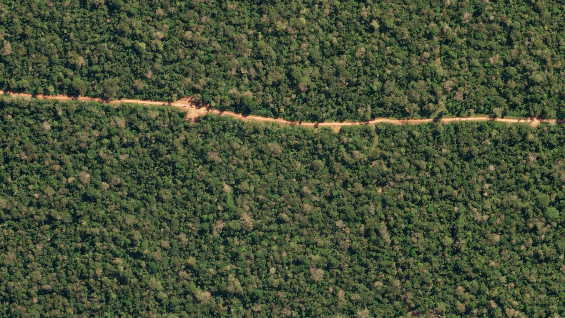 Aerial shot of a road stretching through a forested area.